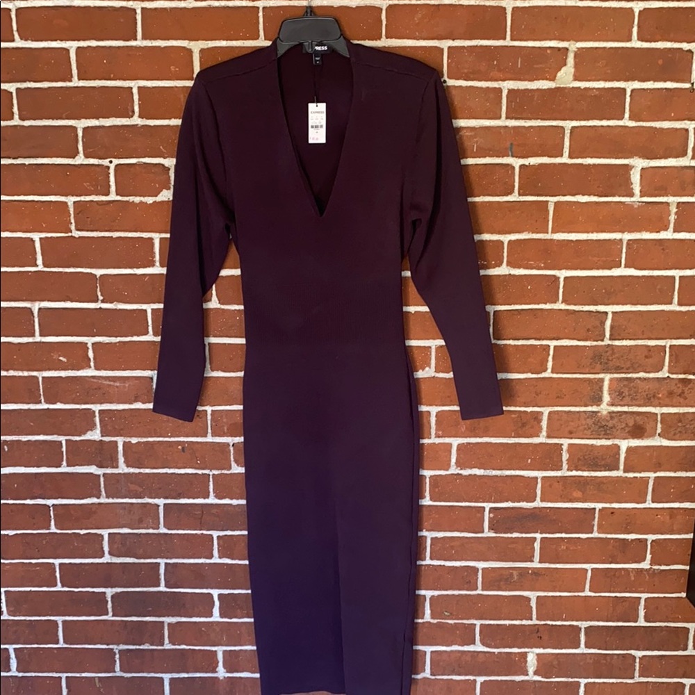 NWT Express Elegant Purple Long Sleeve Dress